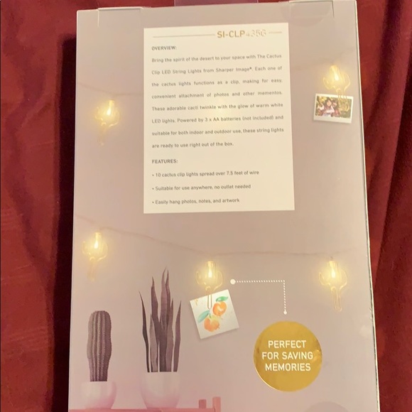 Cactus Photo display light strand - Picture 2 of 2